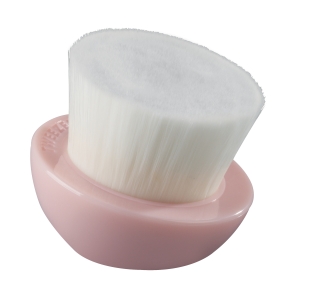 Complexion Cleansing Brush